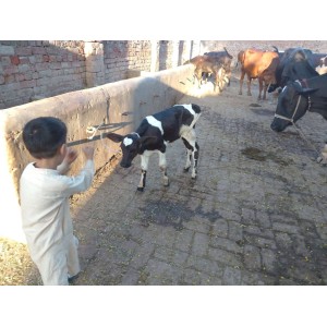 Farm Products