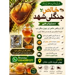 Wild Forest Honey