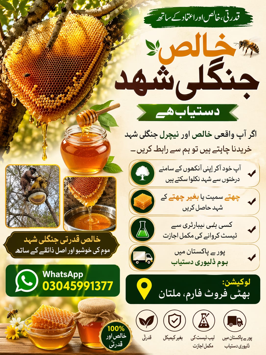 Wild Forest Honey